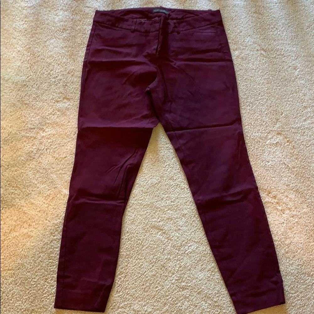 The limited exact stretch maroon pant